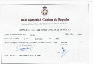 Libro de orígenes español_criacanarias